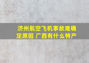 济州航空飞机事故难确定原因 广西有什么特产